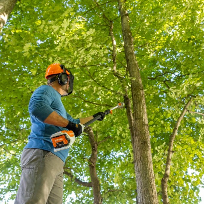 STIHL HTA 50 Battery Powered Pole Pruner Kit with AK 20 Battery and AL ...