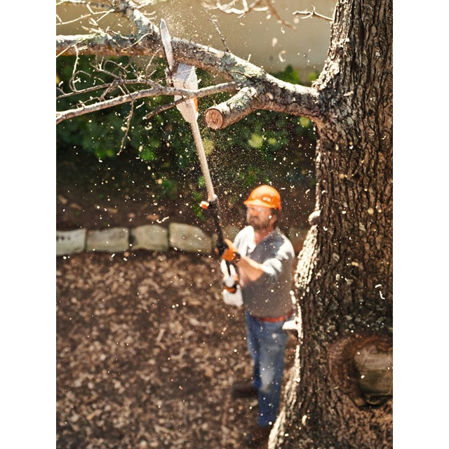 STIHL HTA 50 Battery Powered Pole Pruner Kit with AK 20 Battery and AL 101 Charger