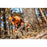 STIHL MS 500i 20 in. Gas Chainsaw