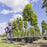 STIHL HLA 86 Battery Powered Extended-Reach Hedge Trimmer