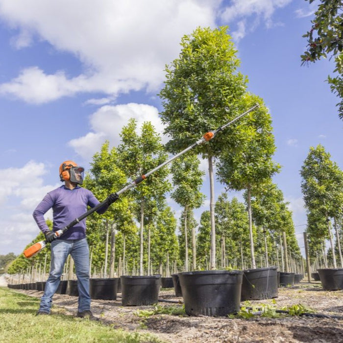 STIHL HLA 86 Battery Powered Extended-Reach Hedge Trimmer