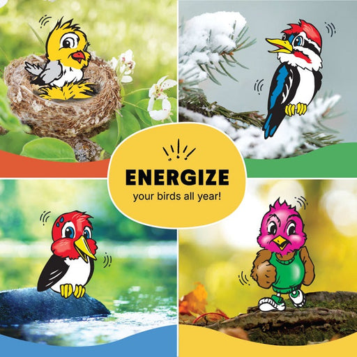 C&S Mealworm Suet Nuggets 27 oz