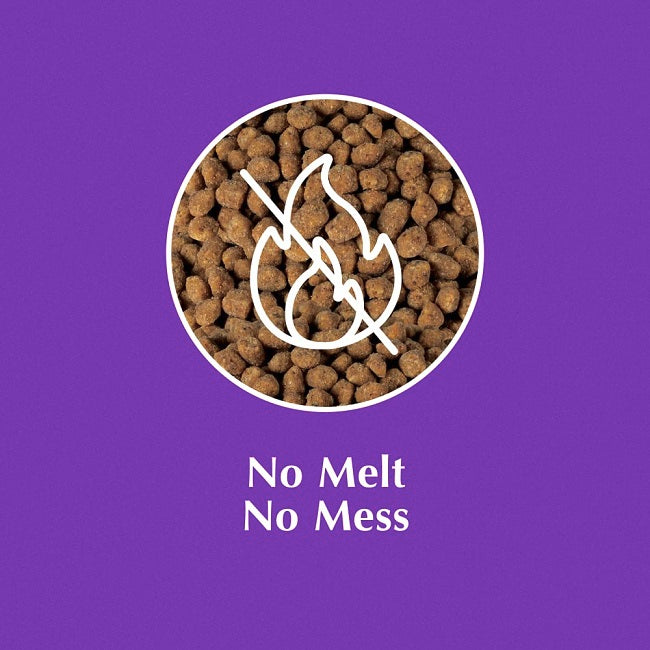 C&S Berry Flavored Suet Nuggets, 27 oz