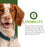 Nutritionals Mobility Chicken & Whole Oats Recipe Dry Dog Food