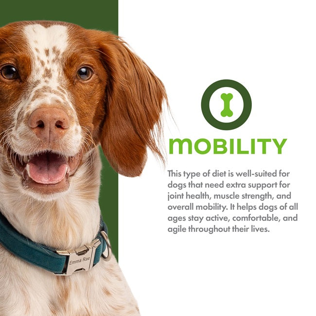Nutritionals Mobility Chicken & Whole Oats Recipe Dry Dog Food