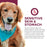 Nutritionals Sensitive Skin and Stomach Complete Dog Food Pâté 13 oz Can