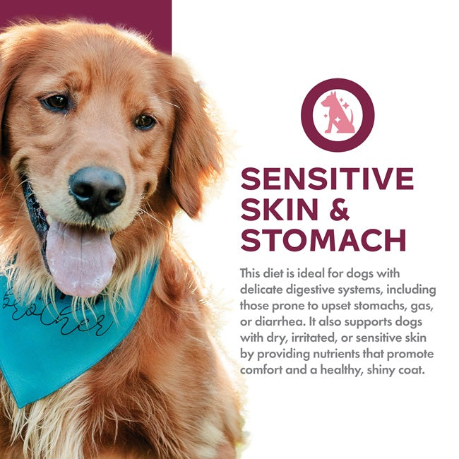 Nutritionals Sensitive Skin and Stomach Complete Dog Food Pâté 13 oz Can