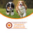 Nutritionals Immunity Dog Food Supplement Pâté 13 oz Can