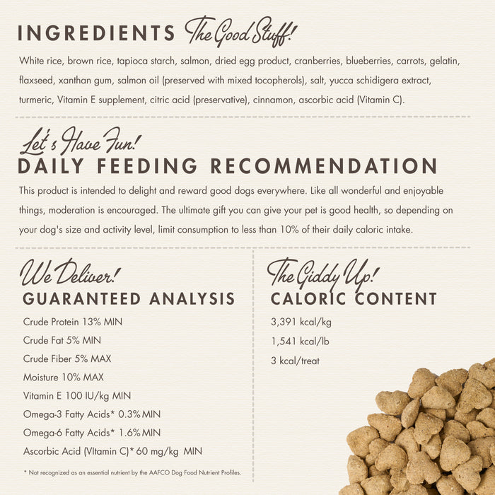 Nutritionals Immunity Functional Dog Treats 6oz