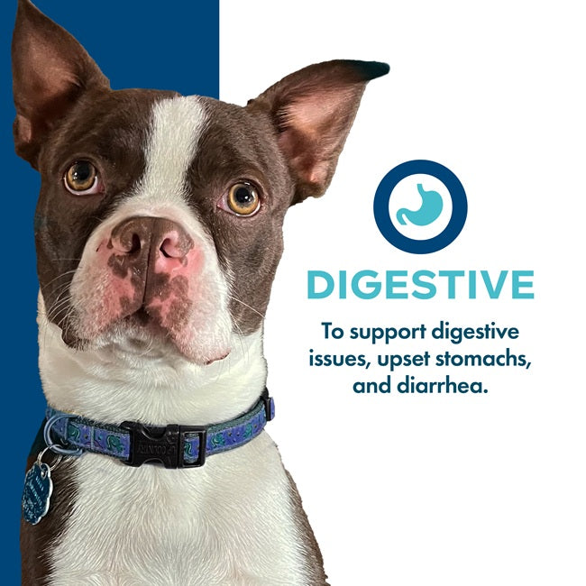 Nutritionals Digestive Functional Dog Treats 6oz