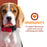 Nutritionals Immunity Dog Food Supplement Pâté 13 oz Can
