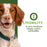Nutritionals Mobility Dog Food Supplement Pâté 13 oz Can
