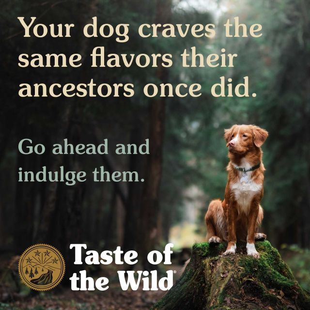 Taste of the Wild Southwest Canyon Canine with Wild Boar Dry Dog Food 28 Lb.