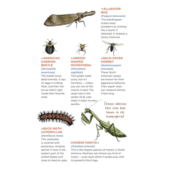 Tattoos That Teach: Creepy, Crawly Tattoo Bugs