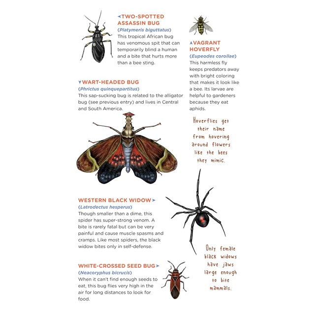 Tattoos That Teach: Creepy, Crawly Tattoo Bugs