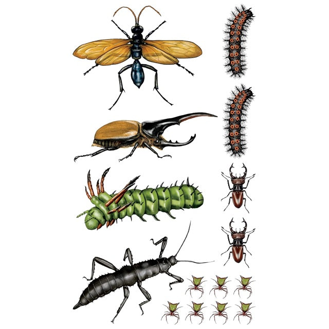 Tattoos That Teach: Creepy, Crawly Tattoo Bugs