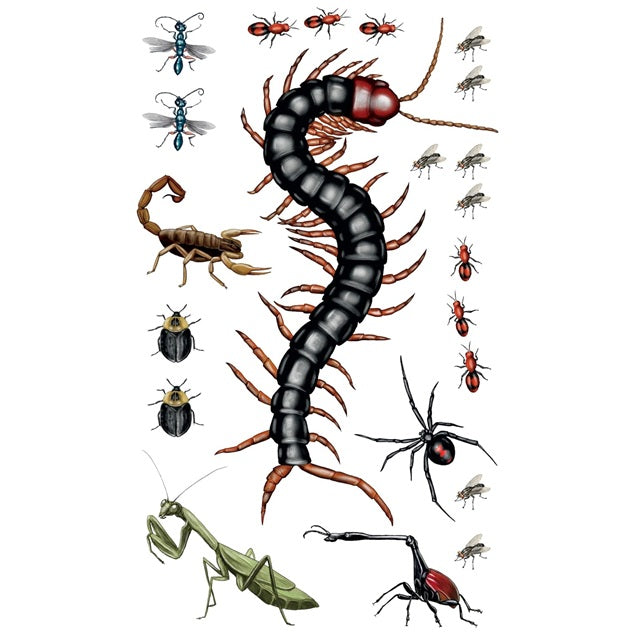 Tattoos That Teach: Creepy, Crawly Tattoo Bugs