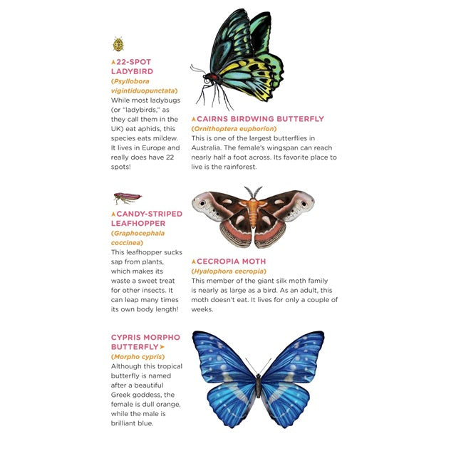 Tattoos That Teach: Fluttery, Friendly Tattoo Butterflies and Other Insects
