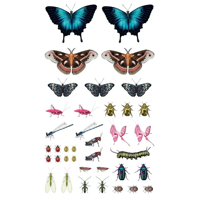 Tattoos That Teach: Fluttery, Friendly Tattoo Butterflies and Other Insects