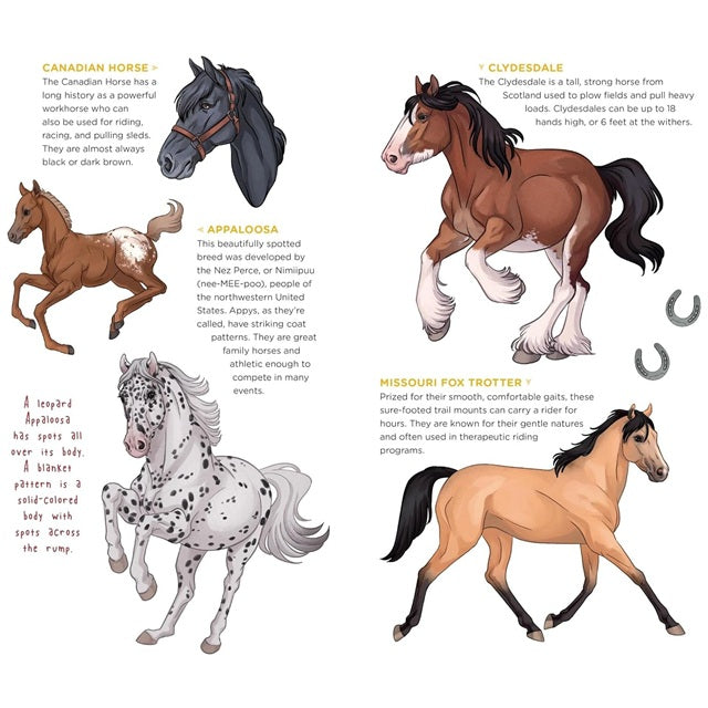 Tattoos That Teach: Happy Herd Of Tattoo Horses & Ponies