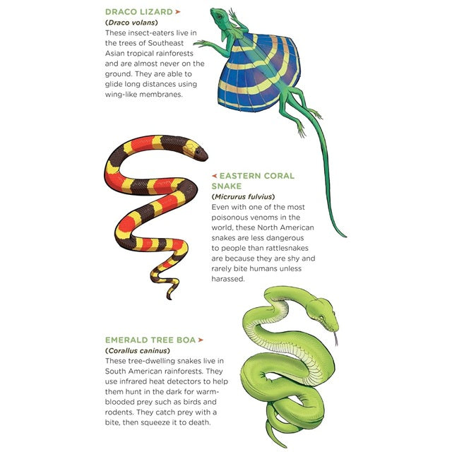 Tattoos That Teach: Slithering, Scaly Tattoo Snakes & Other Reptiles