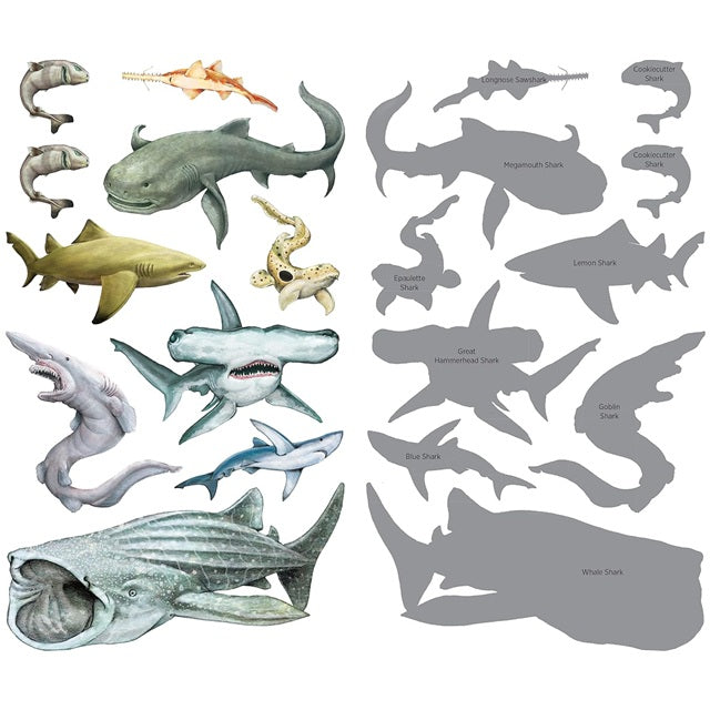 Tattoos That Teach: Super, Strong Tattoo Sharks