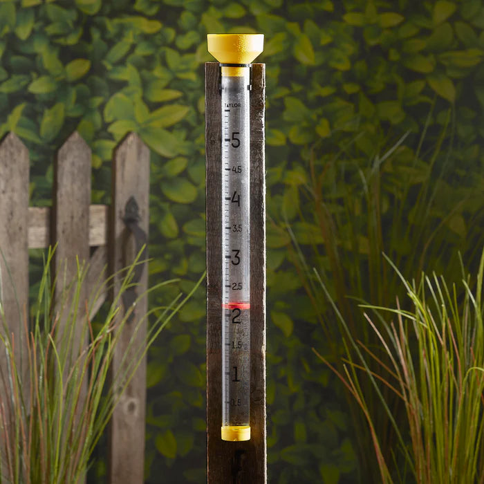 Taylor Clearvu Jumbo Easy View Rain Gauge 2706