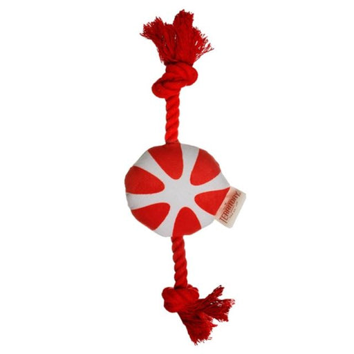 Territory Holiday Peppermint Candy Rope Tug Dog Toy