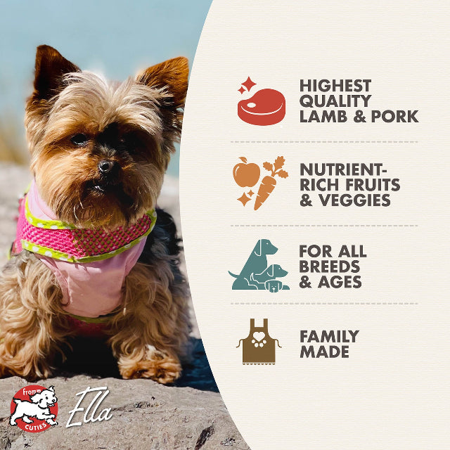 Fromm Four-Star Lamb & Lentil Recipe Dry Dog Food