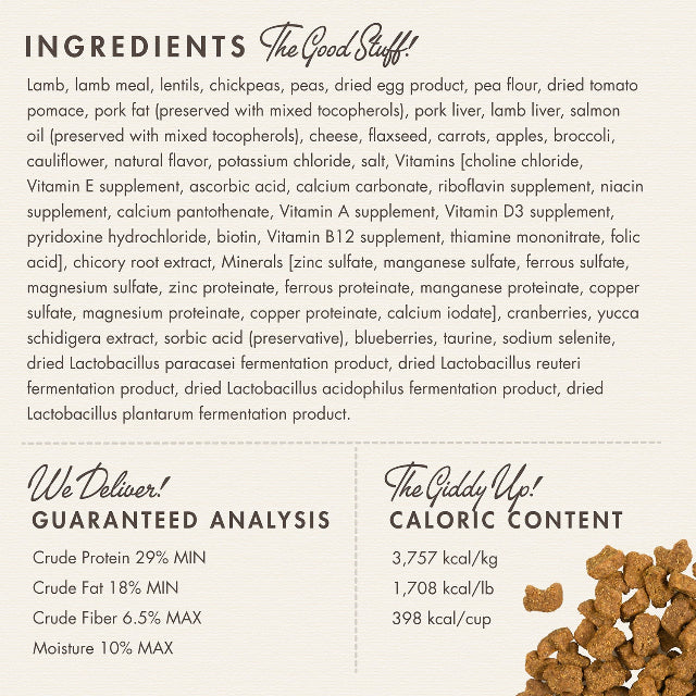 Fromm Four-Star Lamb & Lentil Recipe Dry Dog Food