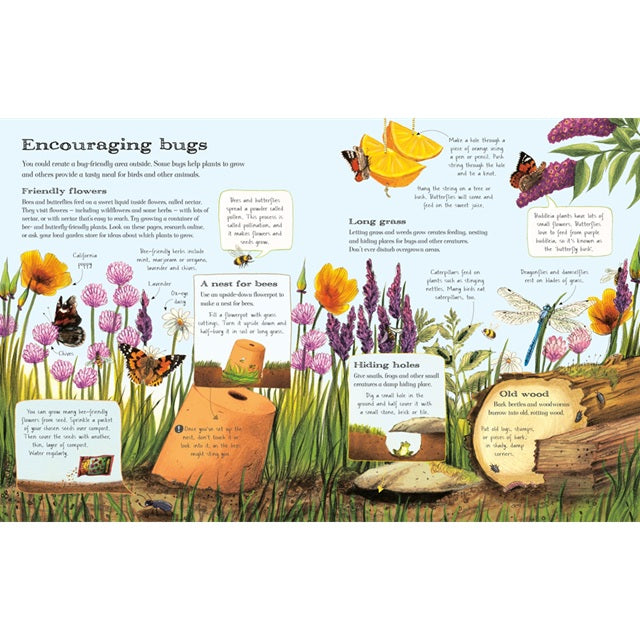 The Usborne Outdoor Book