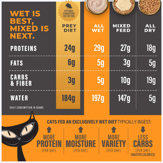 Tiki Cat Solutions Digestion Mousse Chicken & Egg Recipe in Broth Wet Cat Food 2.4oz Pouch