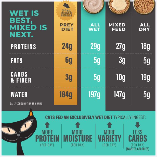 Tiki Cat Solutions Skin & Coat Mousse Salmon Recipe in Broth Wet Cat Food 2.4oz Pouch