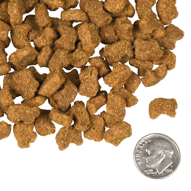 Fromm Four-Star Lamb & Lentil Recipe Dry Dog Food