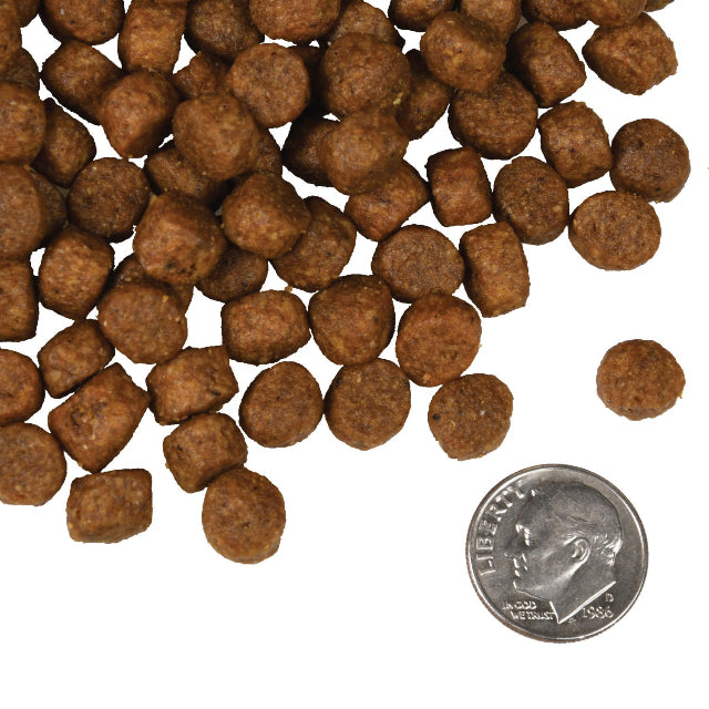 Fromm Four-Star Salmon Tunalini® Recipe Dry Dog Food