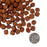 Nutritionals Sensitive Skin & Stomach Salmon & Whole Oats Recipe Dry Dog Food