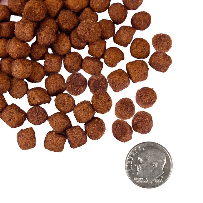 Nutritionals Sensitive Skin & Stomach Salmon & Whole Oats Recipe Dry Dog Food