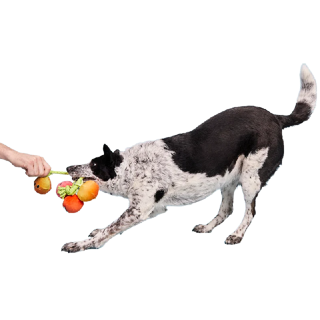 Bark Hairloom Tomatoes Plush Dog Toy