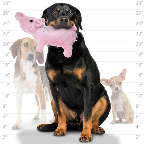 Tuffy MIGHTY Farm Piglet Tough Plush Dog Toy