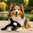 Tuffy® Ocean Creature Series Kinley the Killer Whale Dog Toy
