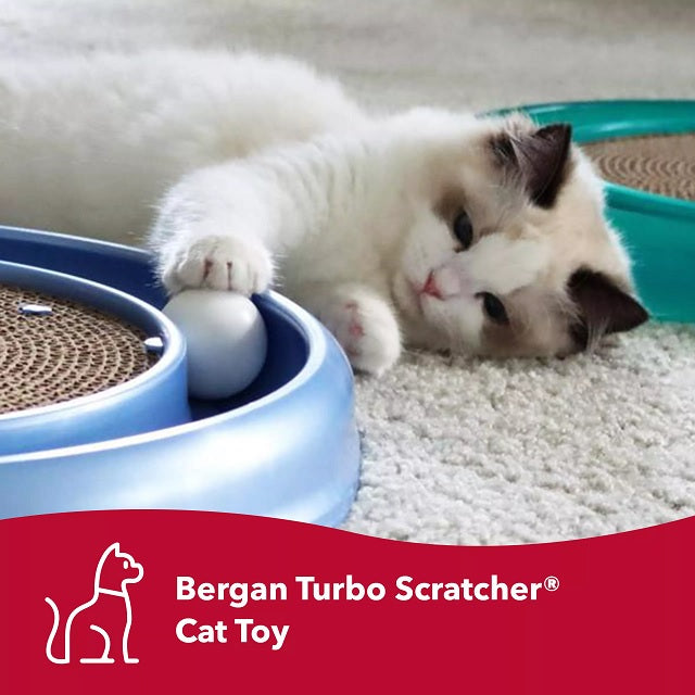 Bergan Turbo Scratcher Cat Toy 70128, Assorted