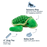 Baby Turtle with Squeaker 4" Dog Toy
