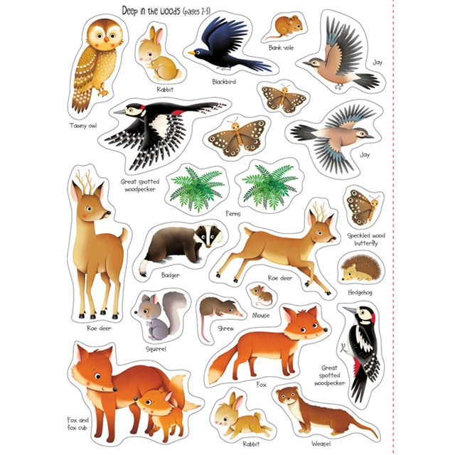 First Sticker Book Nature | Usborne