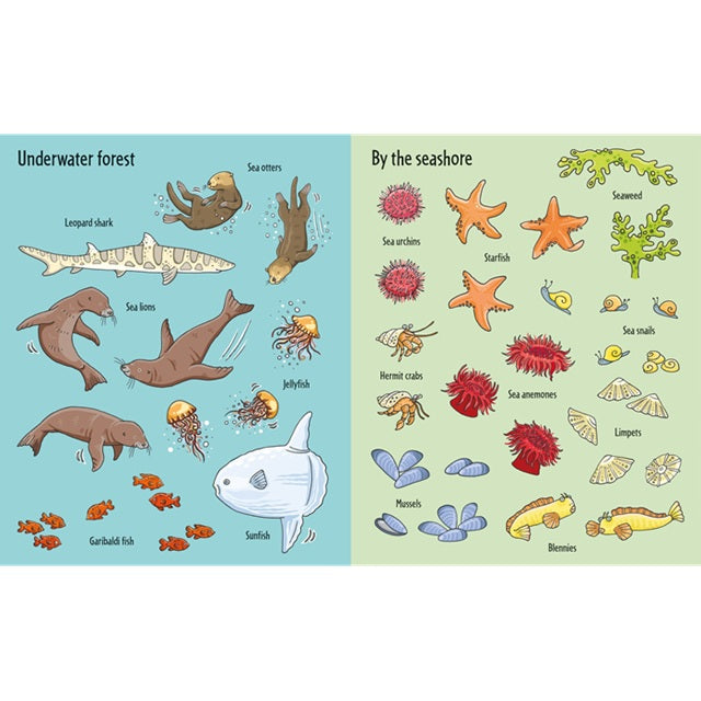 First Sticker Book Under the Sea | Usborne