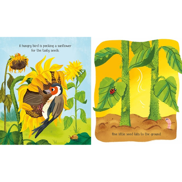 One Little Seed Life Cycles Board Book | Usborne