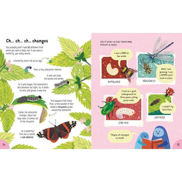 Lots of Things to Know About Bugs: A Fun Introduction to Spiders, Caterpillars, and Bees for Kids