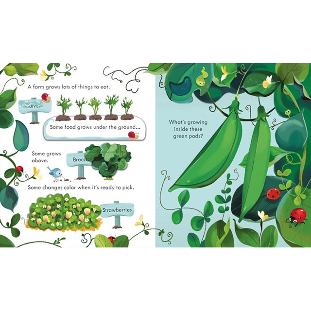 Peek Inside the Farm Lift a Flap Board Book | Usborne