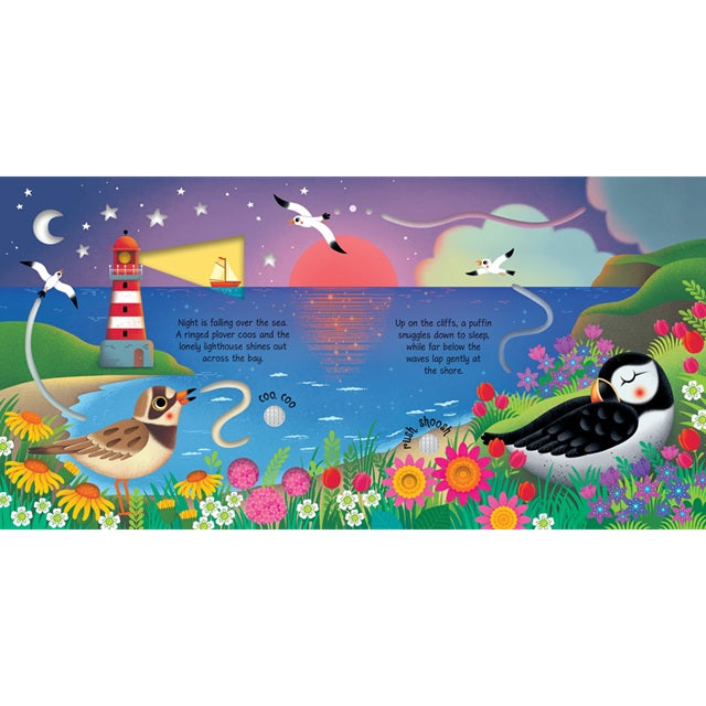 Seashore Sounds Children's Book | Usborne