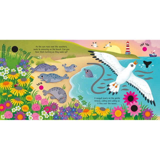 Seashore Sounds Children's Book | Usborne