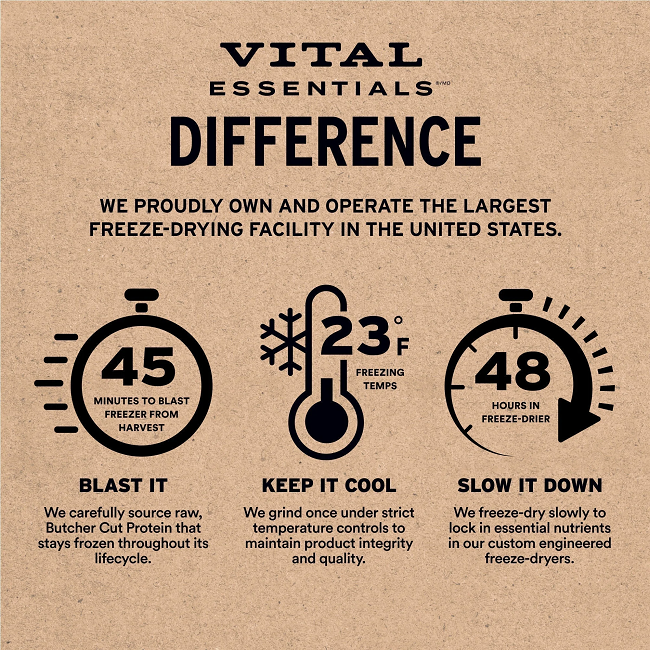 Vital Essentials Freeze-Dried Salmon Bites Cat Treats 1.1 oz.